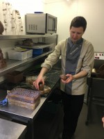 /album/de-stapsteen-op-paasbezoek/img-2862-jpg/